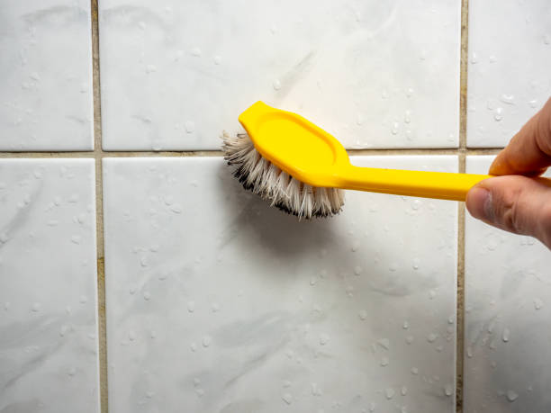 Best Post-Flood Mold Remediation in Littlestown, PA