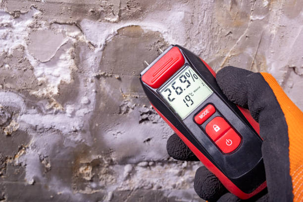 Best DIY Mold Remediation Support Services in Littlestown, PA