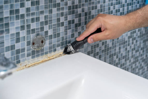 Best Mold Testing and Inspection Services in Littlestown, PA